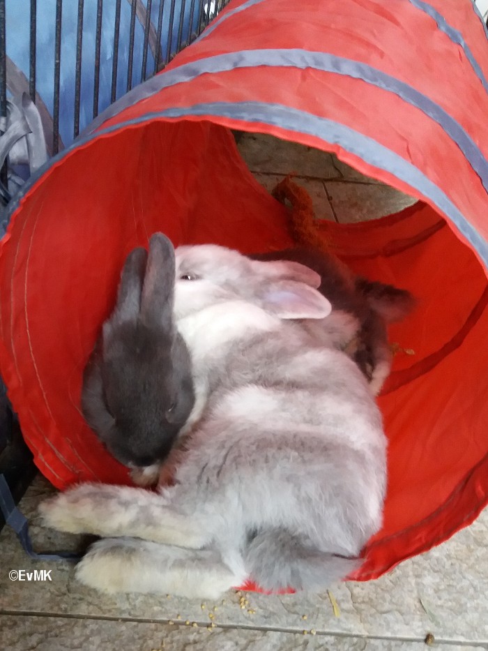 samen in de tunnel